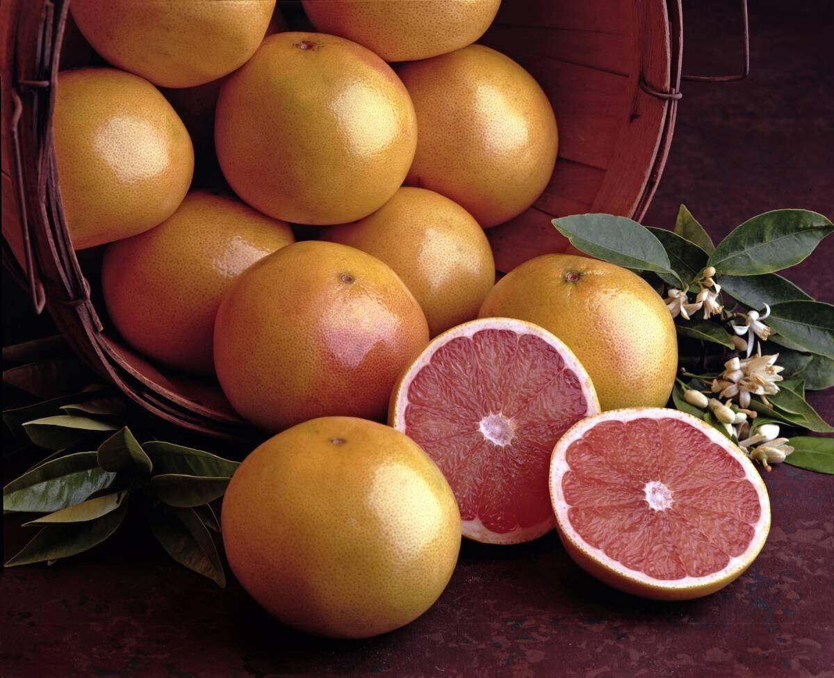 Grapefruits In Basket With Cut Fruit Halves