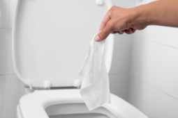 4 Things Plumbers Urge You to Stop Flushing