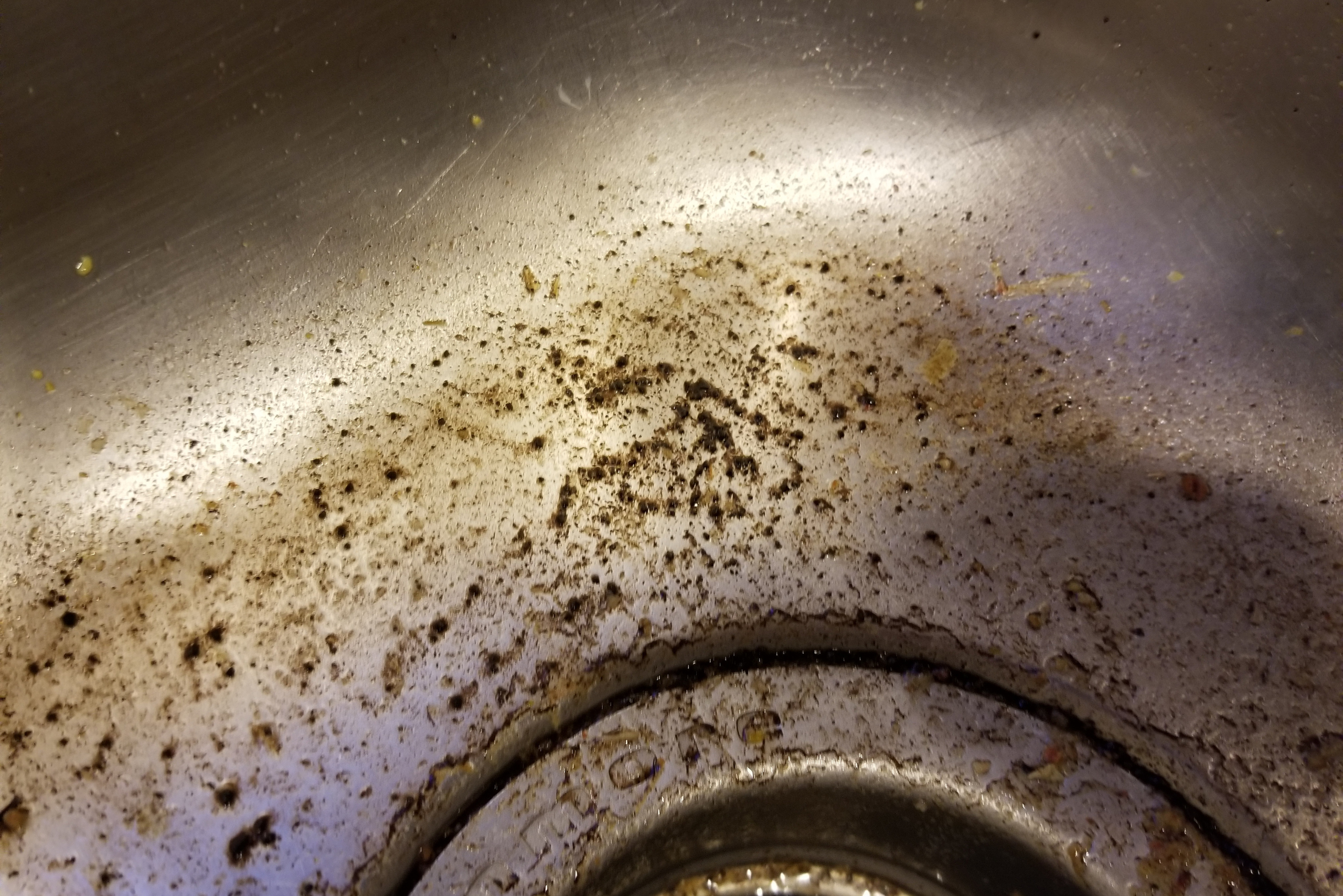 Coffee grounds in sink.