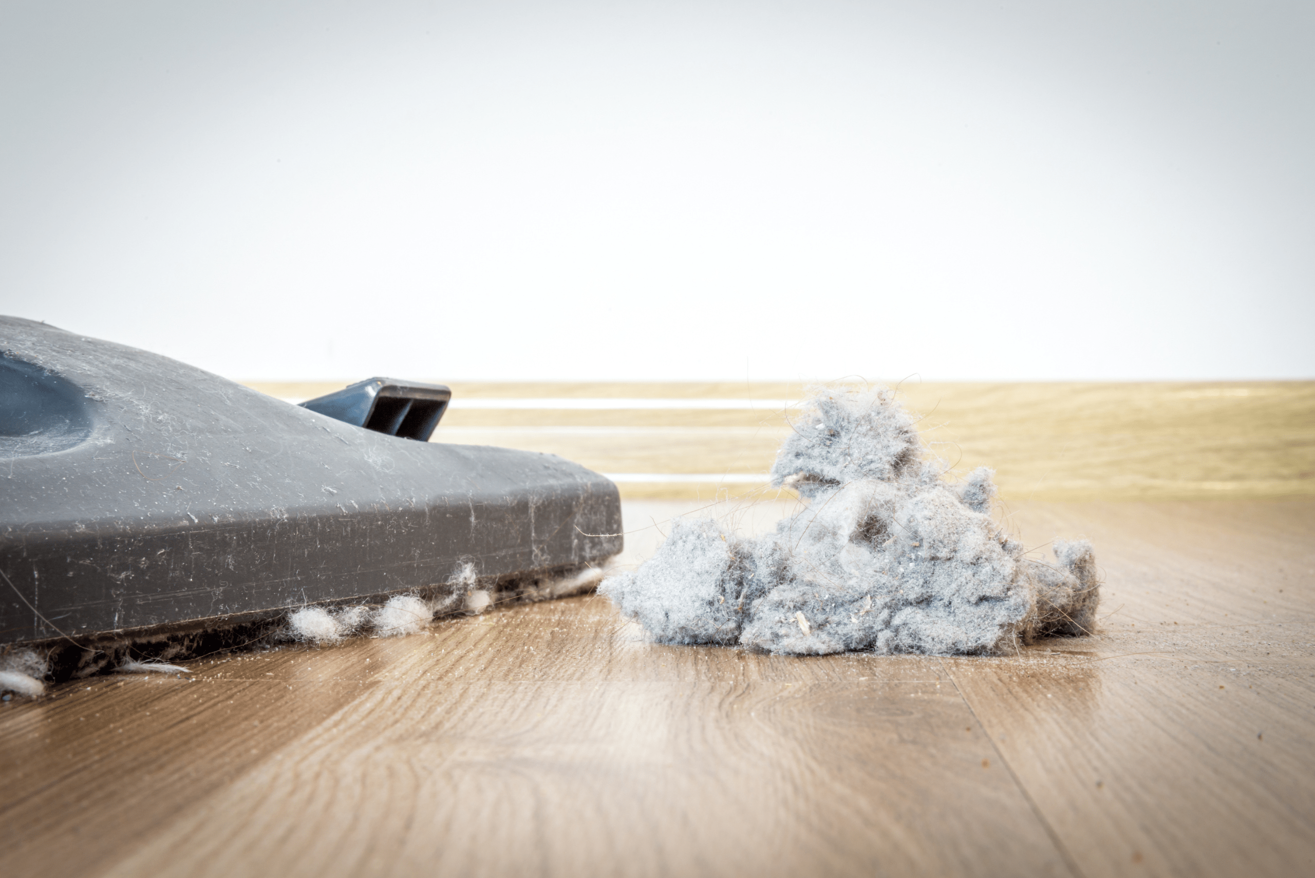 Dust in front of a vaccum.