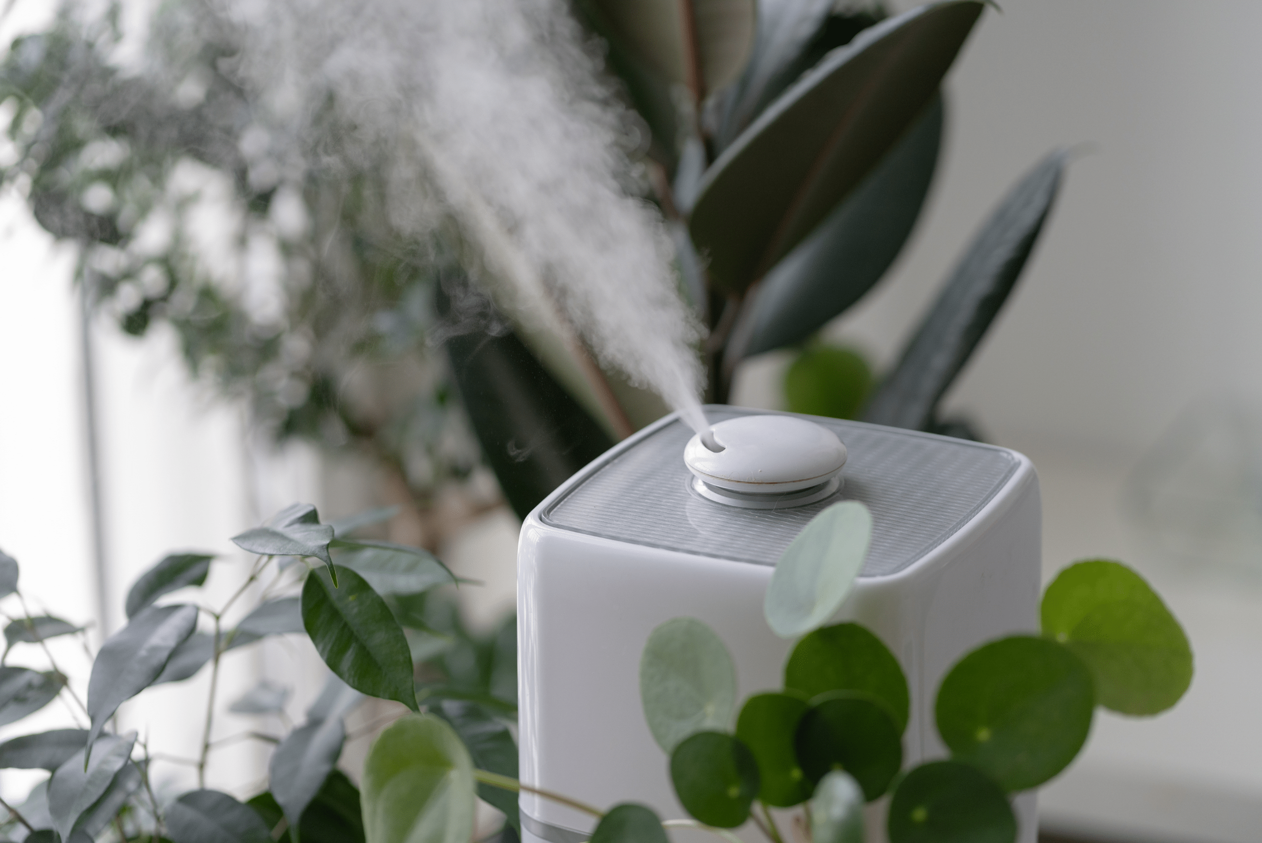 Humidifier pushing out water vapor into the air. 