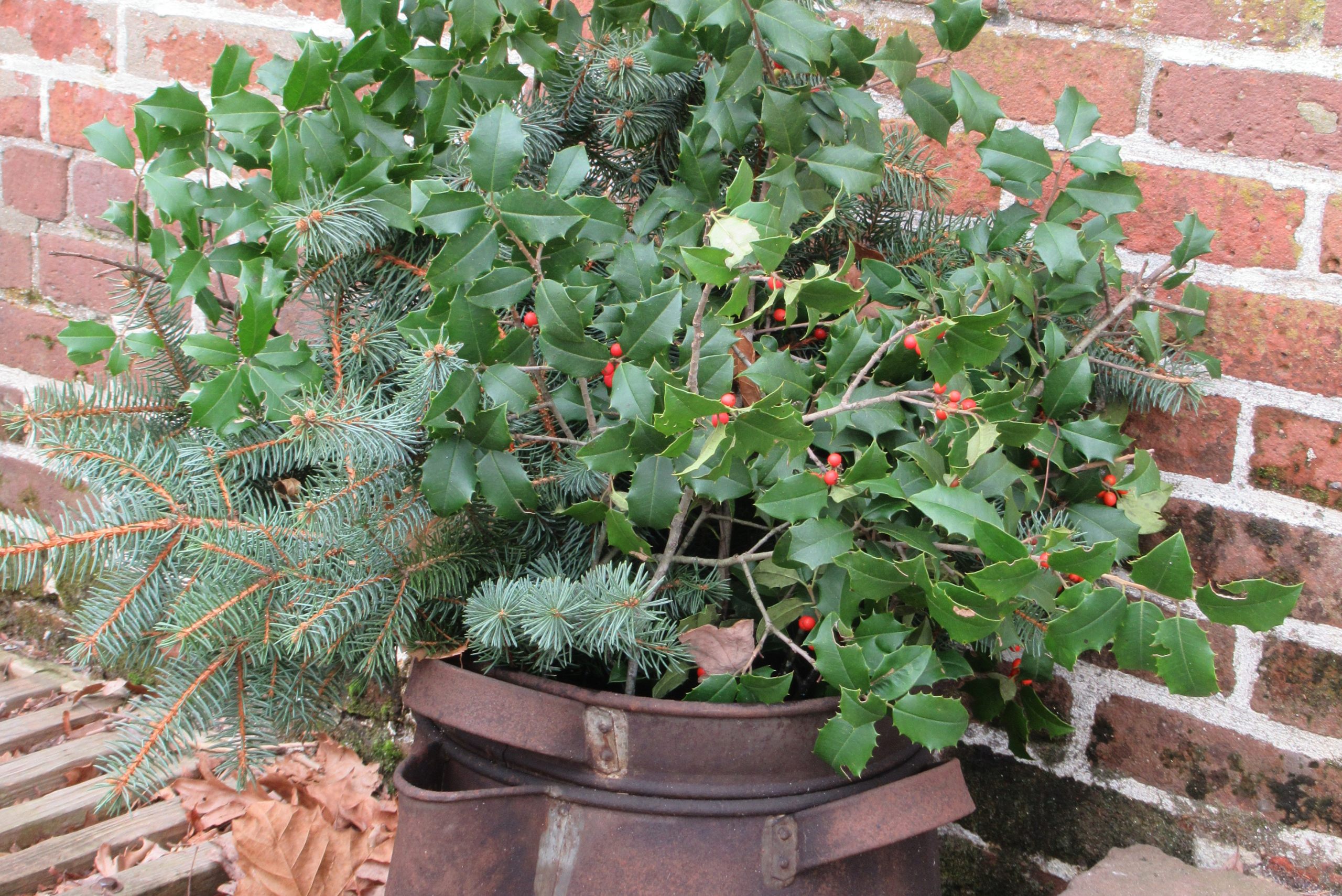 Repurposed rusty metal container with plant inside of it.