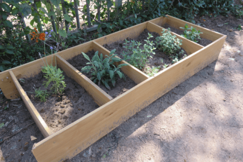 Bookshelf using as a garden.