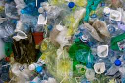 Why You Should Always Keep the Cap On When Recycling Plastic Bottles