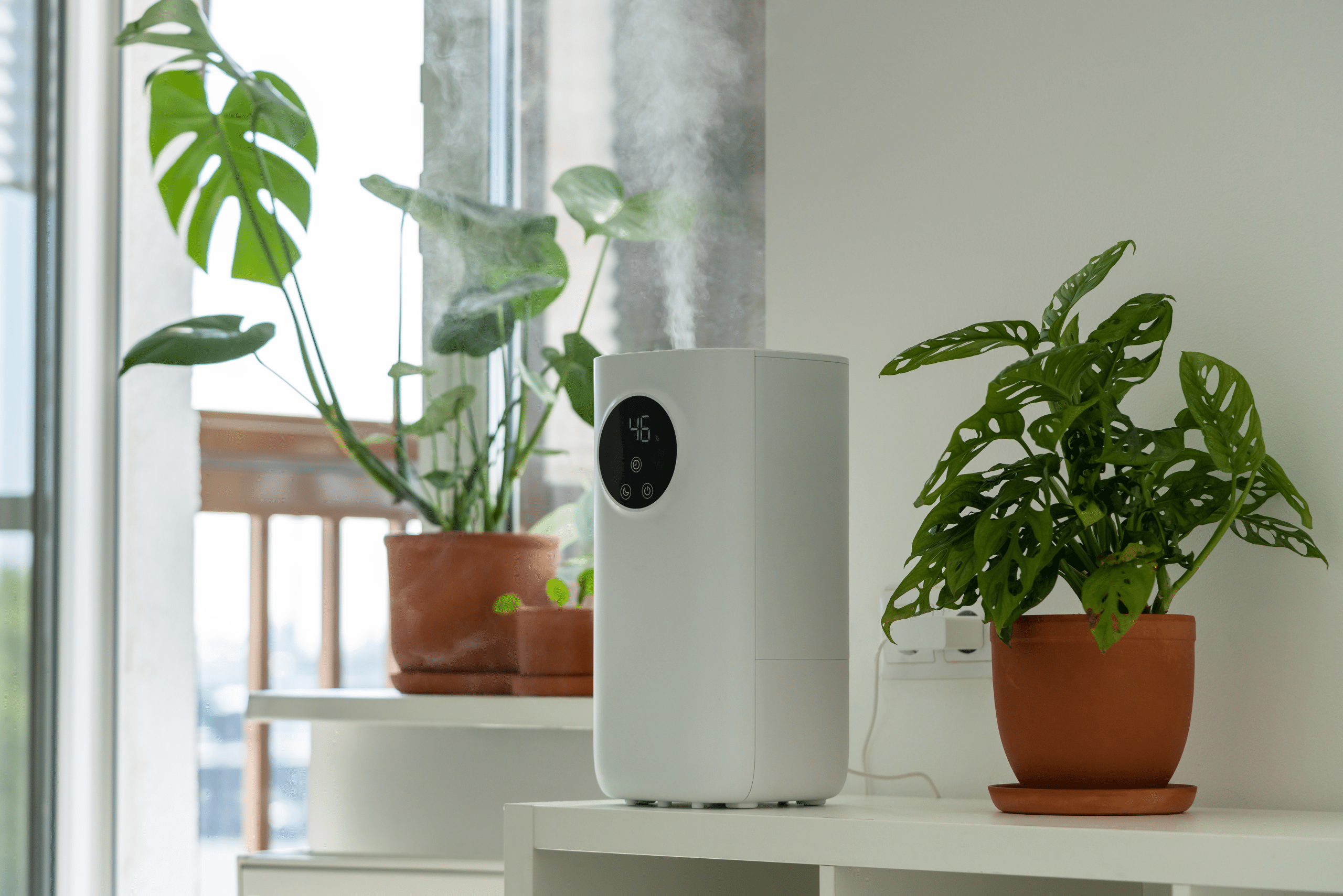 Humidifier surrounded by plants.