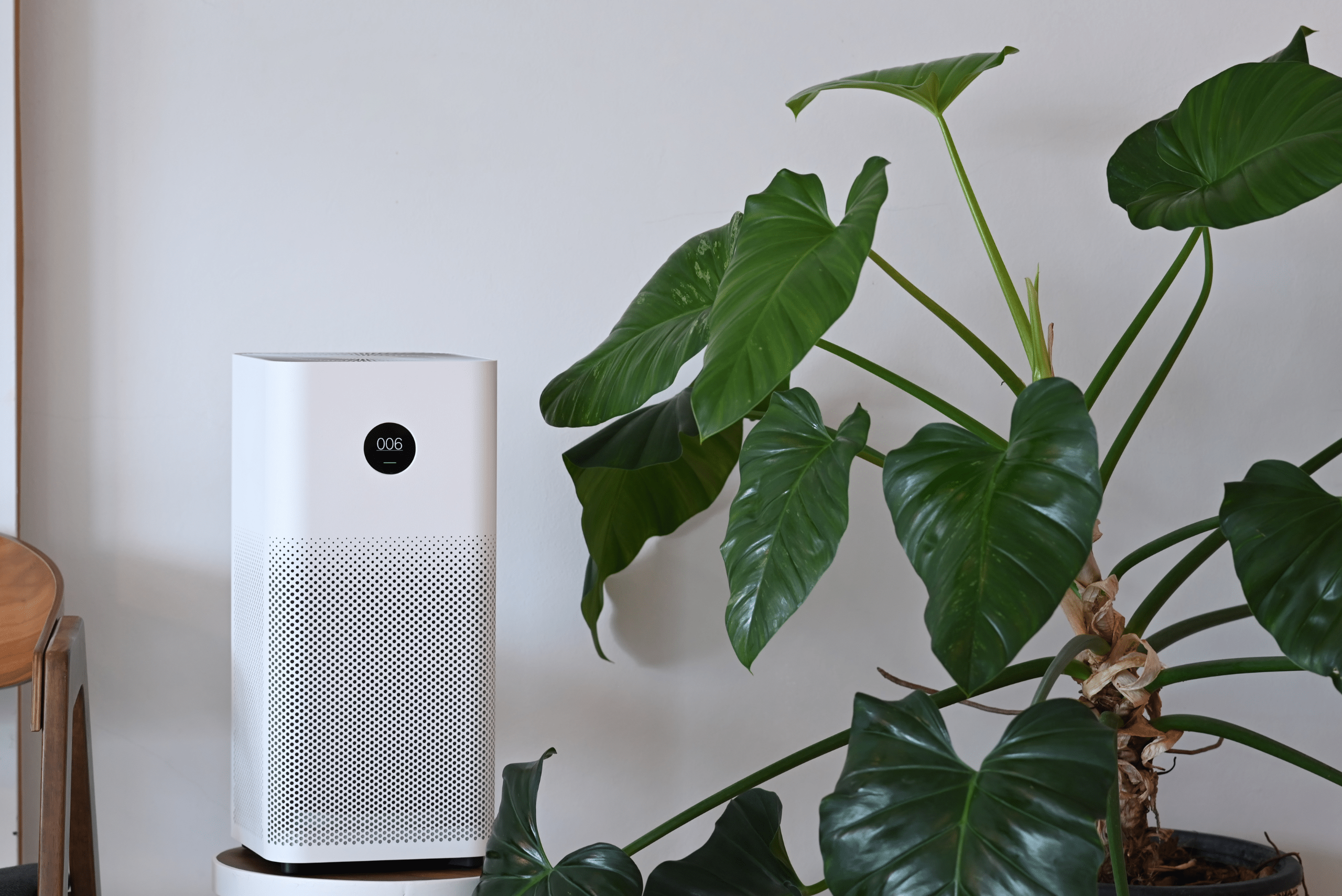 Air purifying unit beside a plant.