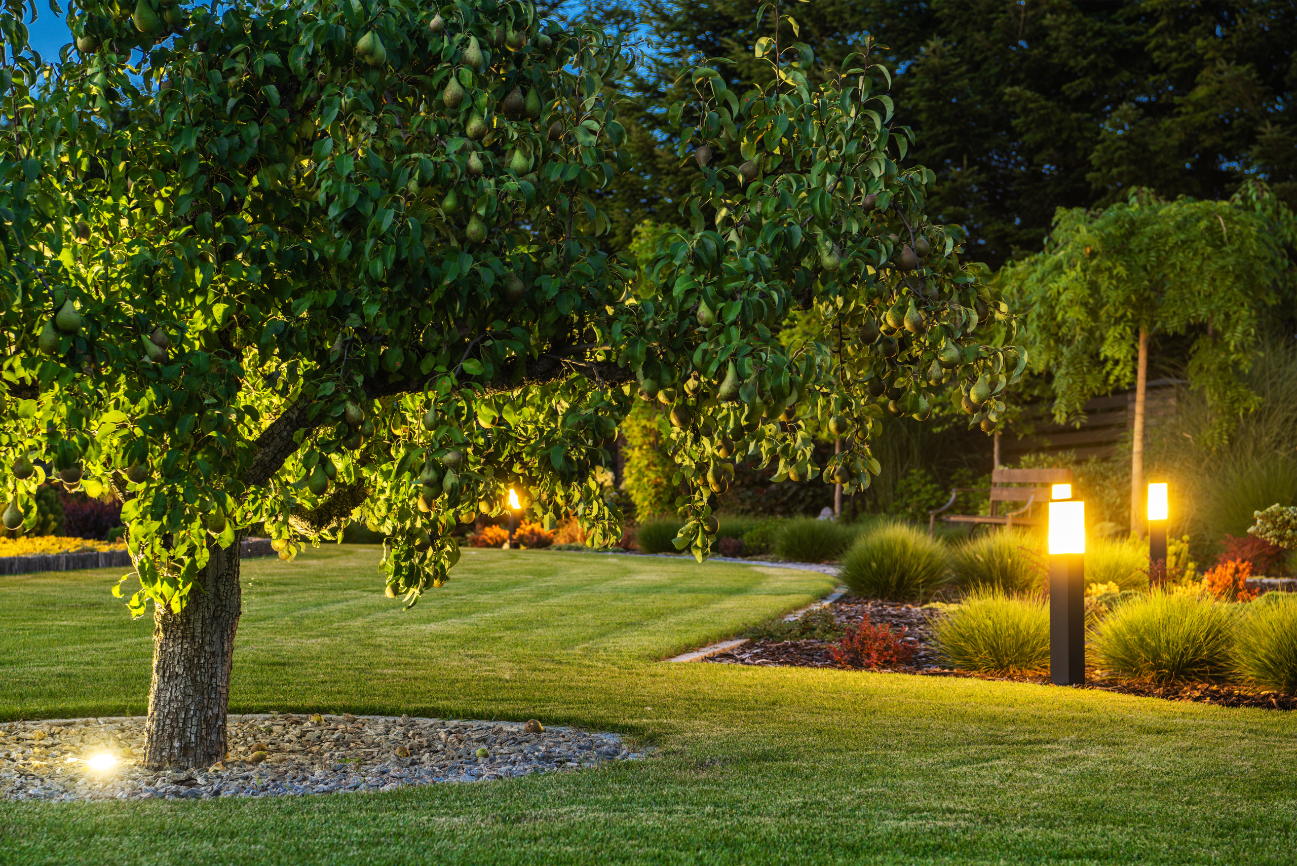 Lush front yard of a house.