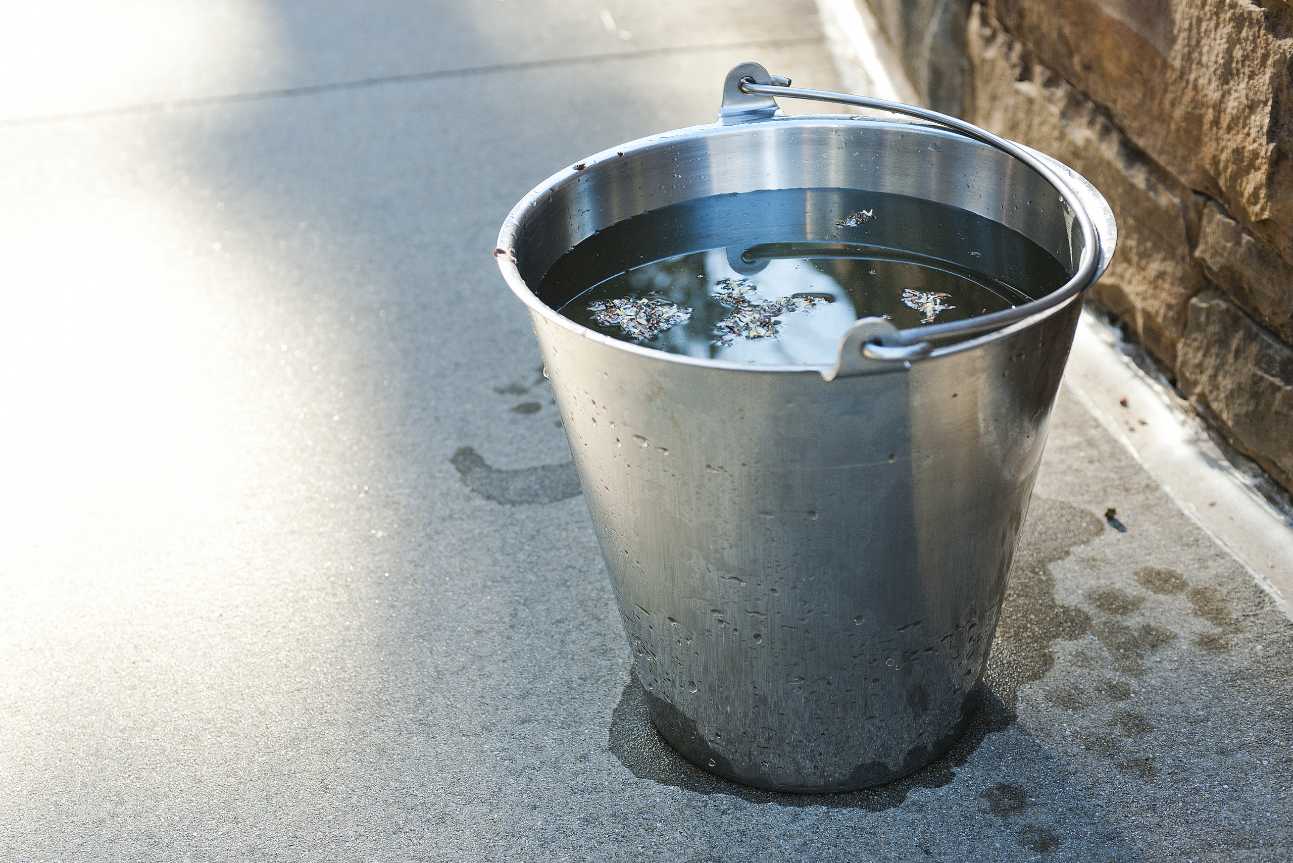 Mosquito in a metal bucket full of water.