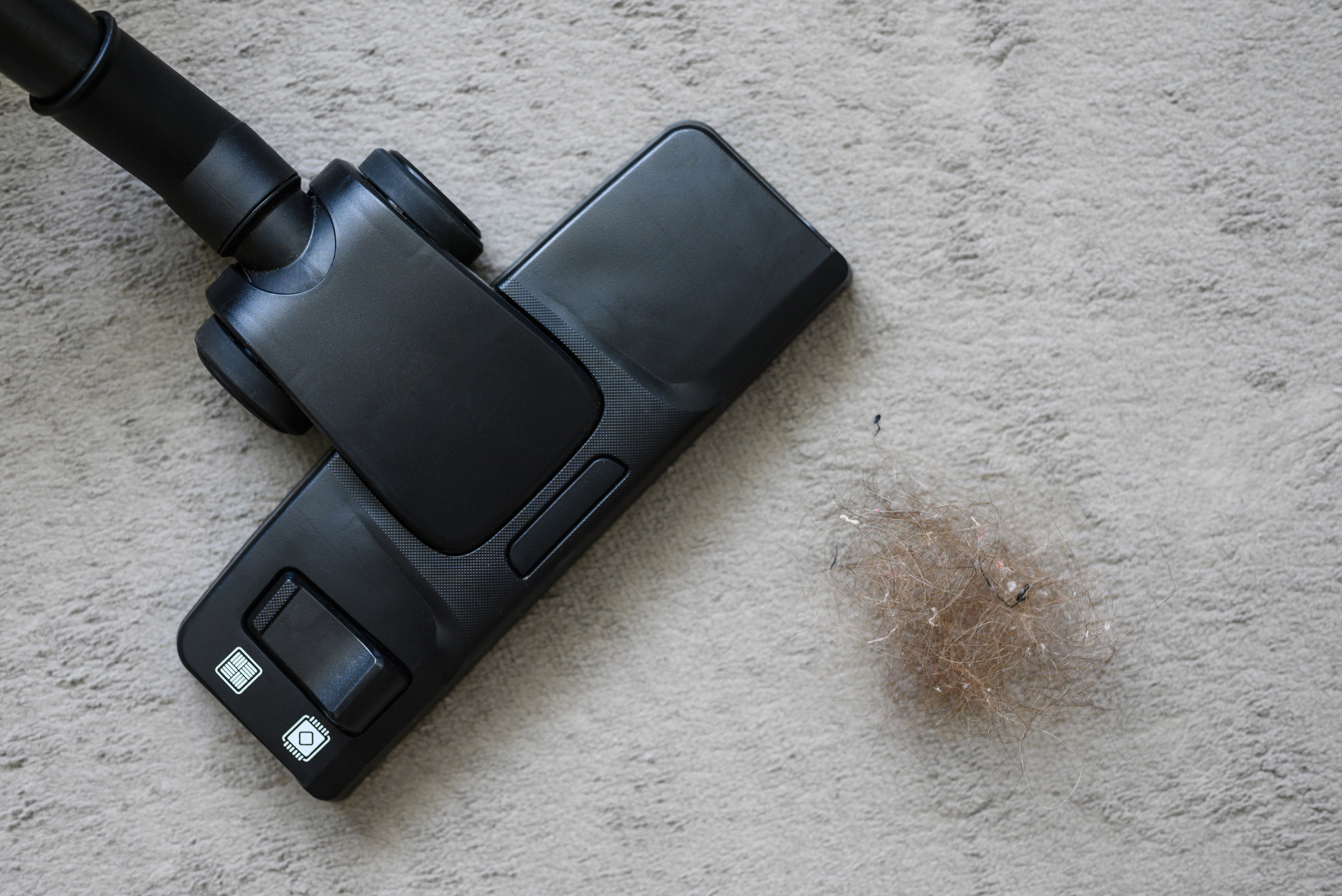 Vacuum and hair on carpet.