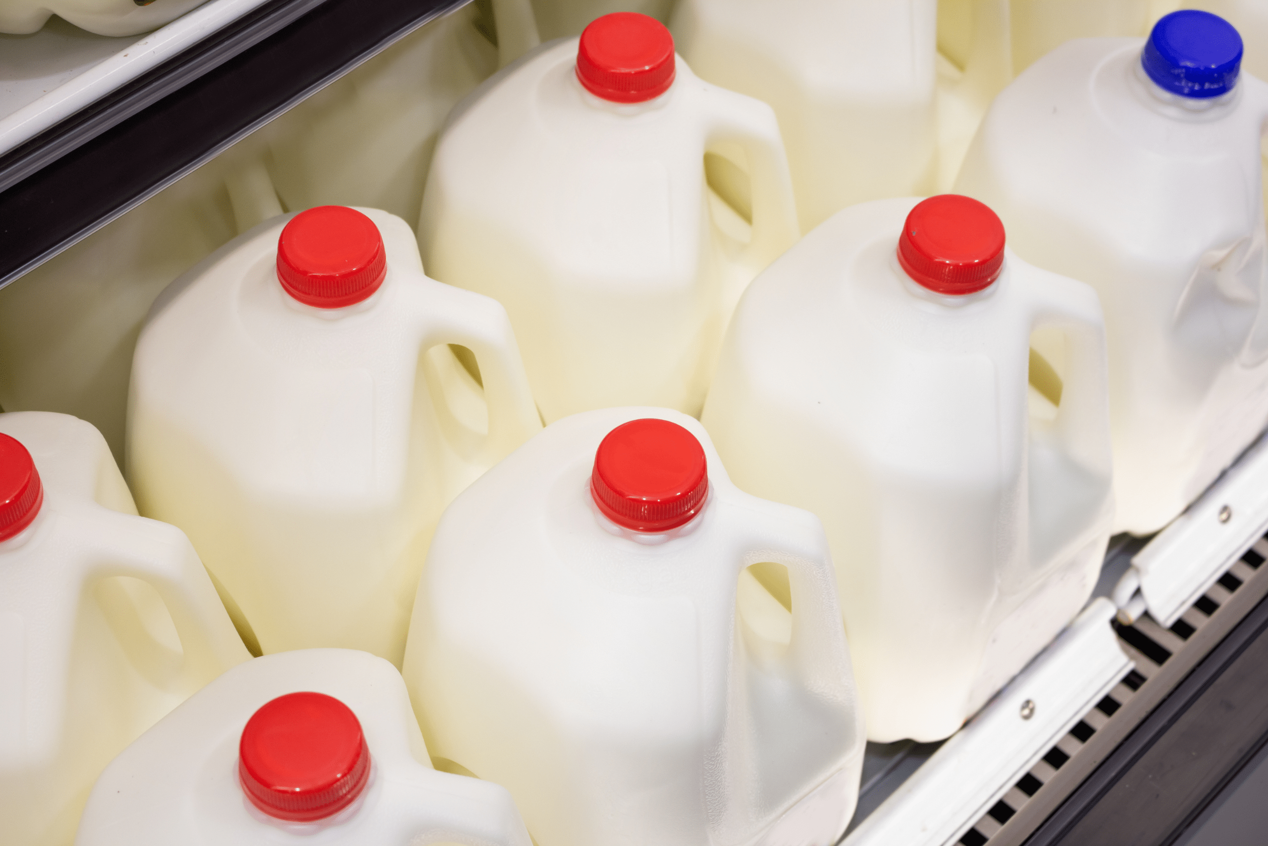 Milk jugs in a store.