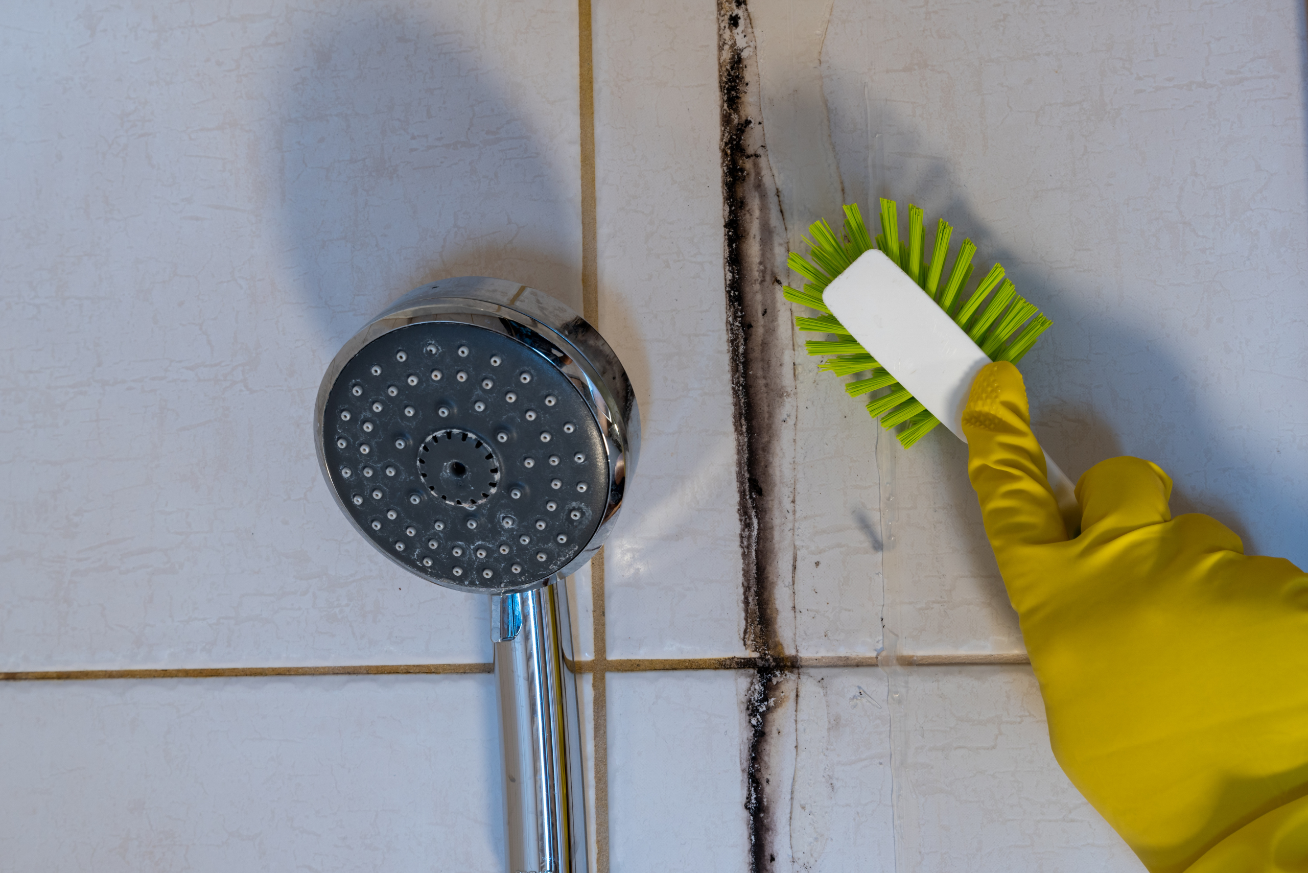 Person's hand wearing yellow gloves scrubbing moldy shower tiles.