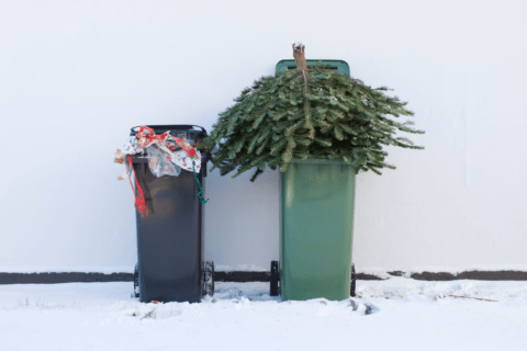 Christmas tree beside a garbage can in a green bin.