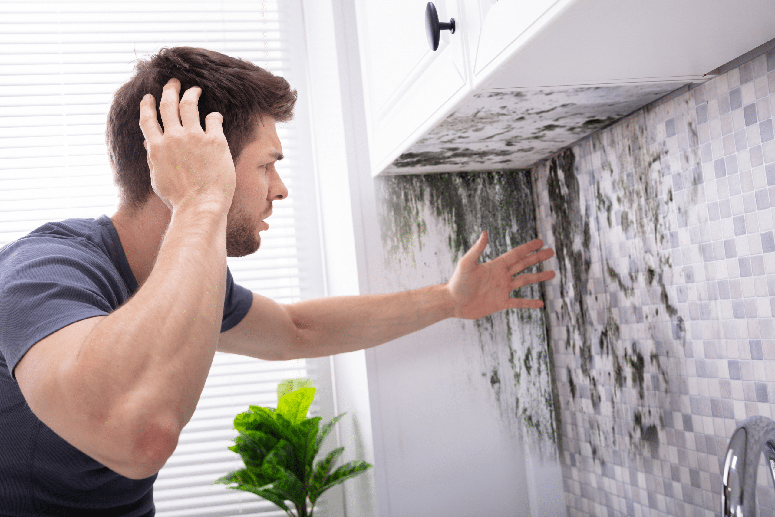 Man looking at mold.