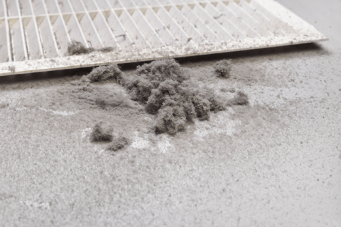 Bunch of dust on a vent.