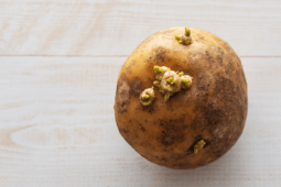 Gross Storage Mistakes That Are Ruining Your Potatoes