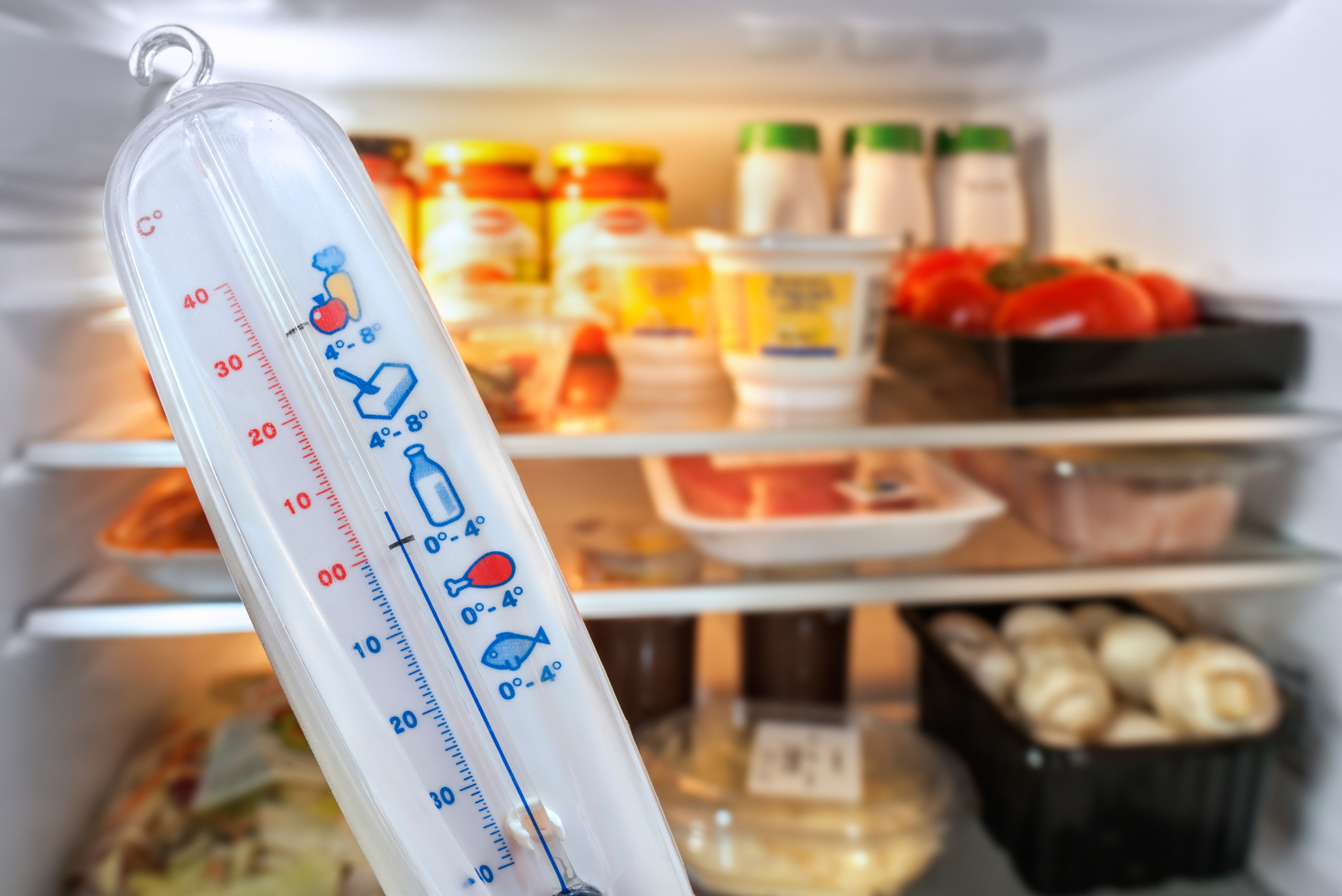 Thermometer in front of an open fridge.