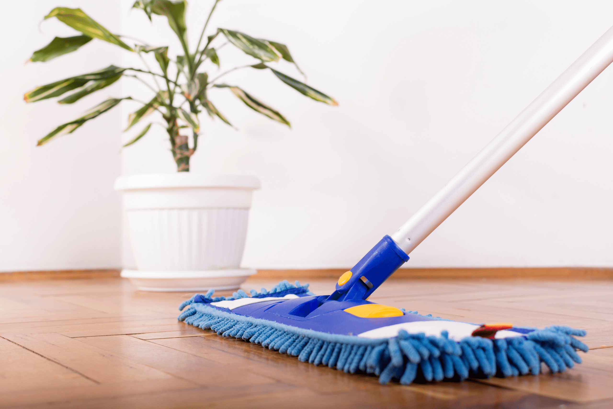 String-style mop on wooden floor.