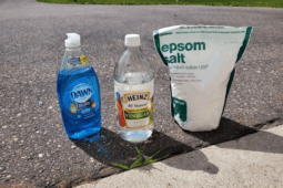 5 Great Uses for Blue Dawn Dish Soap