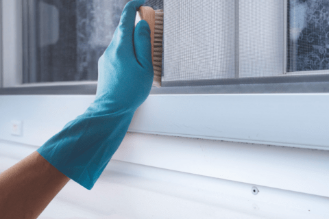 Person's hand brushing window screen clean.