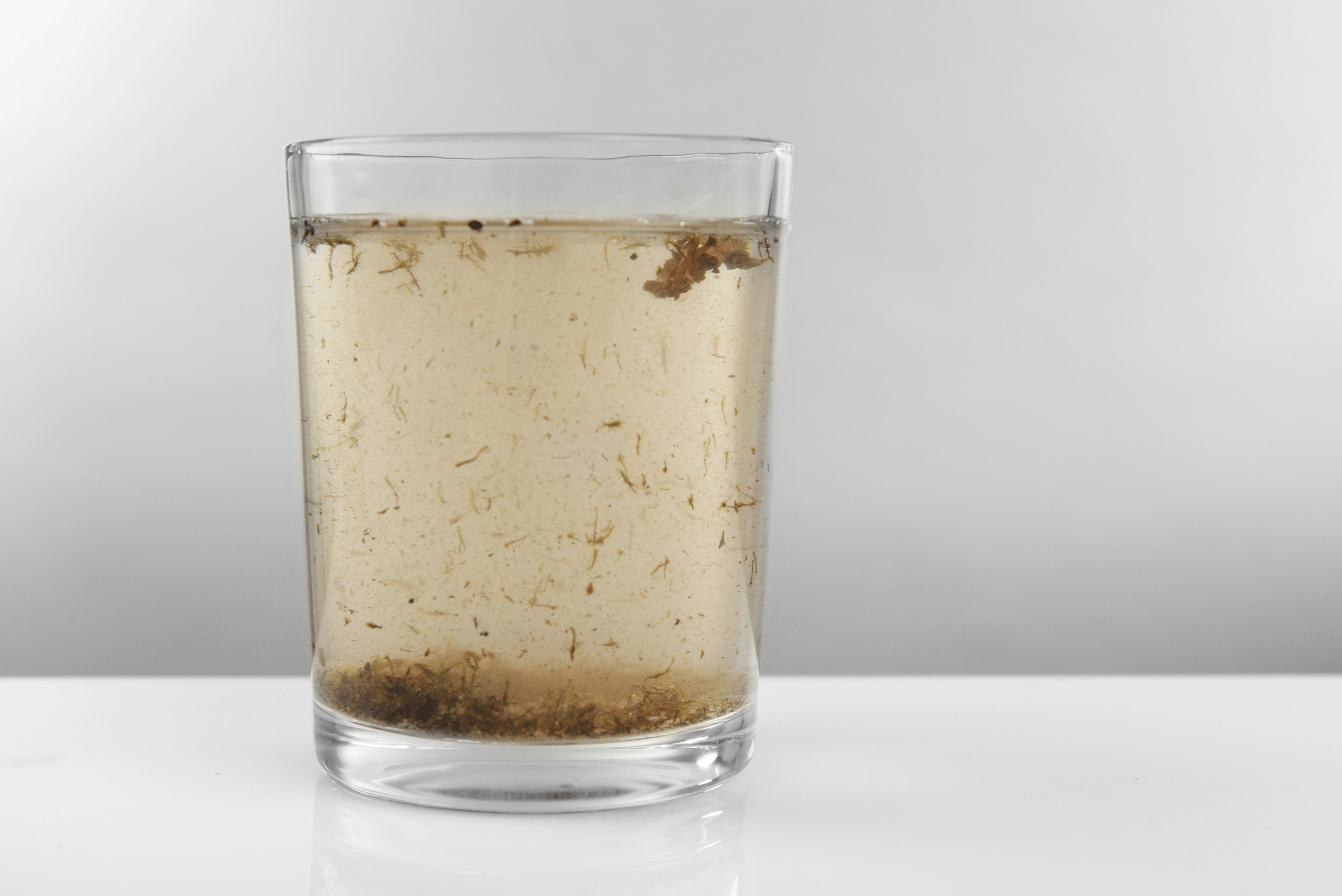 Dirty water in a glass cup.