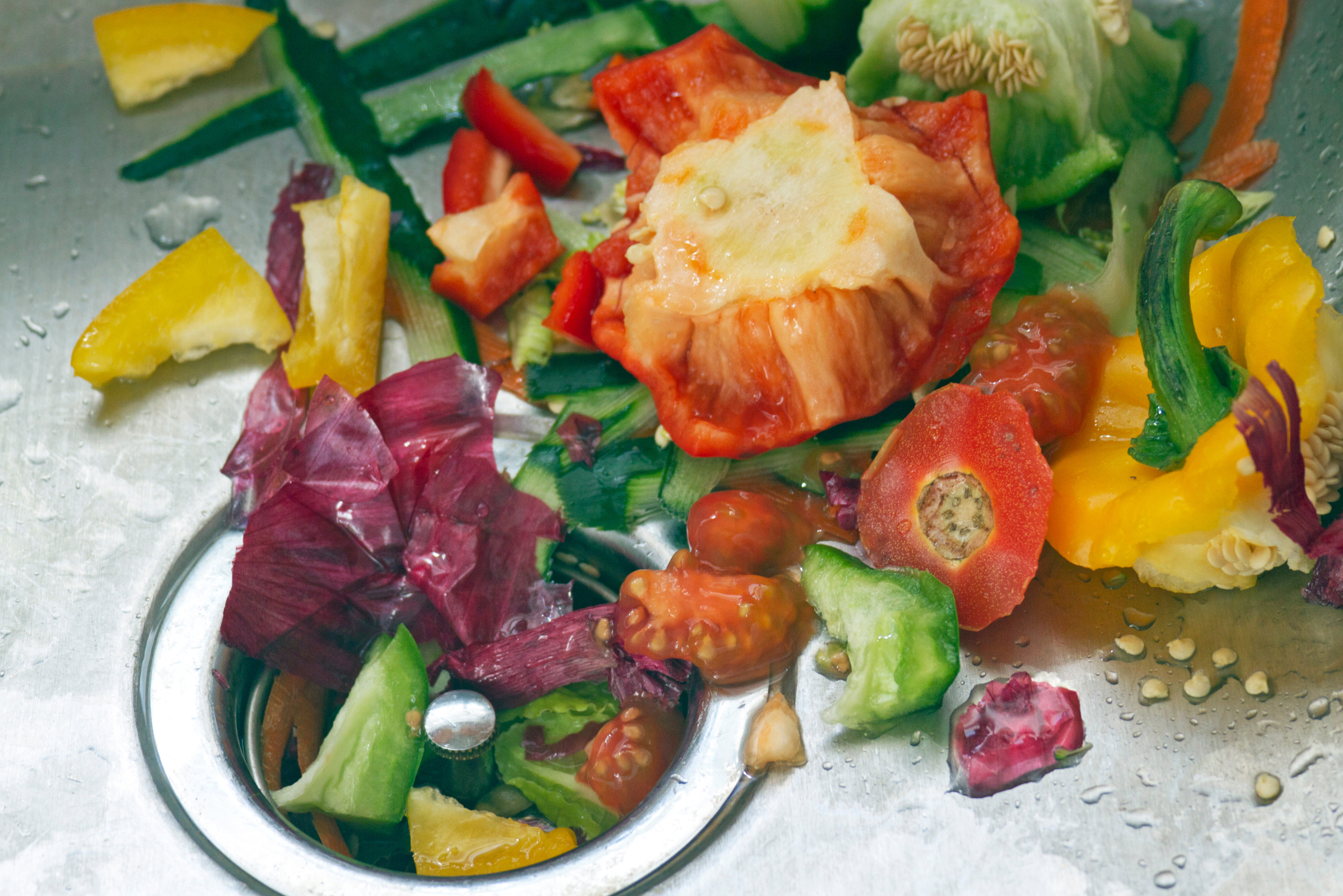 Food scraps in a sink.