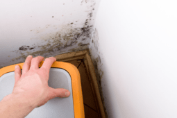 Hidden Hazards in Your Home to Look Out for and How to Stay Safe